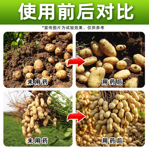 Shuofang 60% Choline Chloride Plant Growth Regulator Peanut Potato Growth Regulator Agricultural Authentic Medicine 100g*10 Bottles Authenticity Guaranteed
