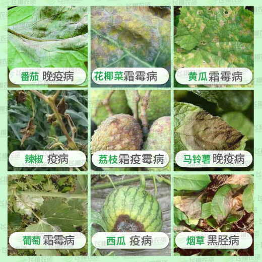 Syngenta Jinlei 68% Precise Armor Cream Mancozeb Grape Cucumber Downy Mildew Late Pepper Blight Pesticide Fungicide 100g