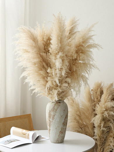 Internet celebrity natural reed pampas grass dried flower bouquet living room window soft decoration exhibition hall layout floor-standing flower arrangement photo props 10 large pampas grass + woven flower basket extra large_length 90-10013