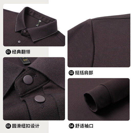 Baocaiyang long-sleeved T-shirt men's dad's clothing spring and autumn business casual lapel polo sweater middle-aged and elderly clothing