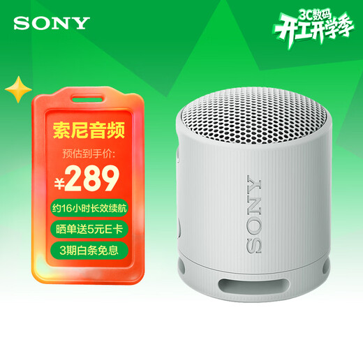 Sony (SONY) SRS-XB100 Wireless Bluetooth Speaker Mini Portable Audio Outdoor Subwoofer Heavy Bass 16 Hours Battery Life IP67 Waterproof and Dustproof Gift for Boyfriend, Girlfriend and Student Gray