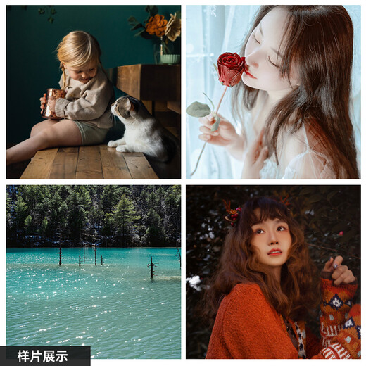 SIGMA 28-70mm F2.8 DG DN Contemporary full-frame mirrorless constant large aperture standard zoom lens live broadcast (L mount)