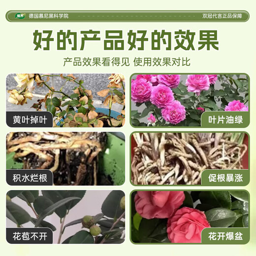 Soil activator soil activator flower fertilizer household potted plant activation anti-hardening rooting fertilizer nutritional flower green buy 5 get 5 dead branches and bare branches also bloom