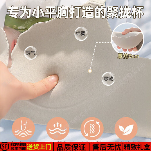 Eresg Light Luxury Brand Underwear Women's Thickened 5cm Seamless Wire-Free Small Breast Push Up Flat Chest Show Big Bra Brown Suit 70A 32