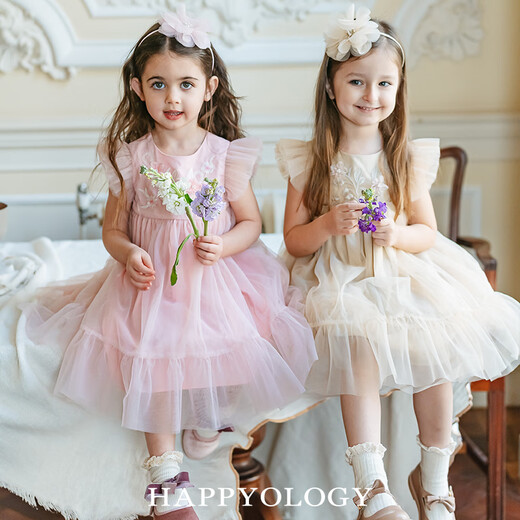Happyology British children's embroidered mesh children's clothing small flying sleeve girls' dress spring and summer mesh skirt