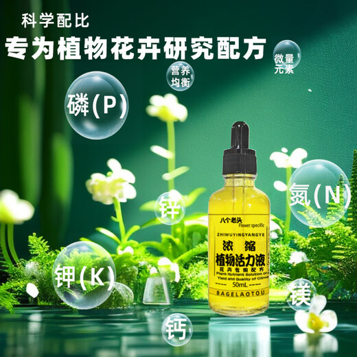 Eight Laotou Plant Vitality Liquid Concentrated Nutrient Solution Growth Promoting Phalaenopsis Hydroponics Moisturizing Green Plants and Flowers General Sustained Release Concentrated Plant Vitality Liquid Yiwu Quality Gray
