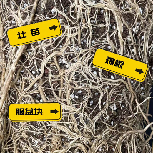 Nutrient soil planting live soil formula type peat soil universal nutritious soil gardening nutritious soil flower planting soil 2.0 light stone version one bag (5.5 Jin Jin is equal to 0.5 kg 11.5 liters)