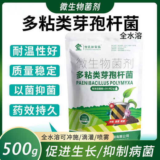 Dangxiu Paenibacillus polymyxa controls soil-borne diseases, universal plant seedlings and rooting improvement live bacteria, Paenibacillus polymyxa 500g*2