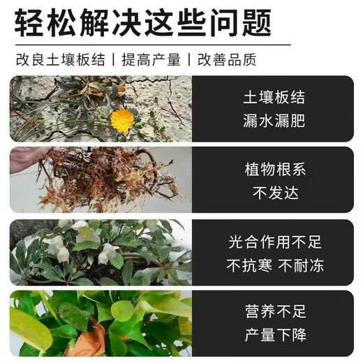 Smart Green Pine Soil Essence Black Water Fertilizer for Flowers General Loose Soil to Prevent Hardening Plant Loose Powder One Bottle Special for Diseases