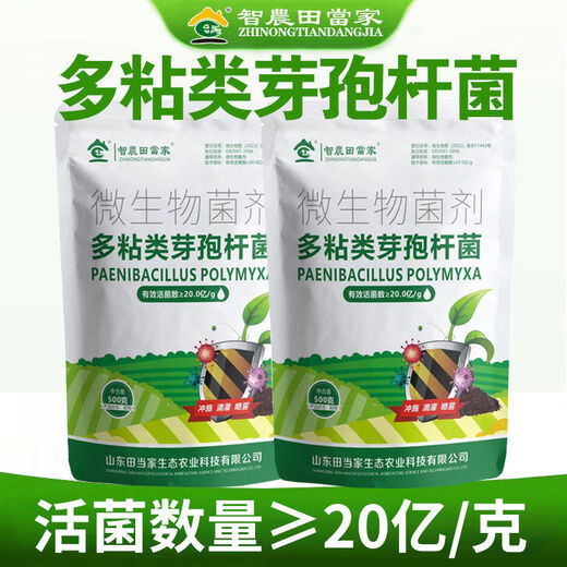 Dangxiu Paenibacillus polymyxa controls soil-borne diseases, universal plant seedlings and rooting improvement live bacteria, Paenibacillus polymyxa 500g*2