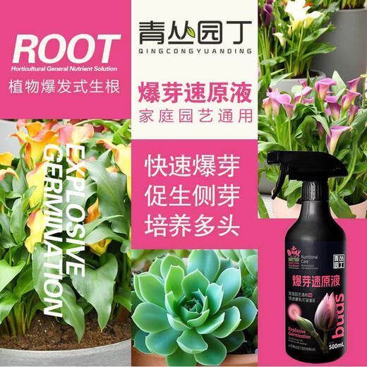 Qingcong gardener's rapid bud bursting stock solution multi-bud promotion, germination, differentiation, leaf flower arrangement, succulent green plants, universal type bursting bud rapid stock solution 500ml*1 bottle conventional