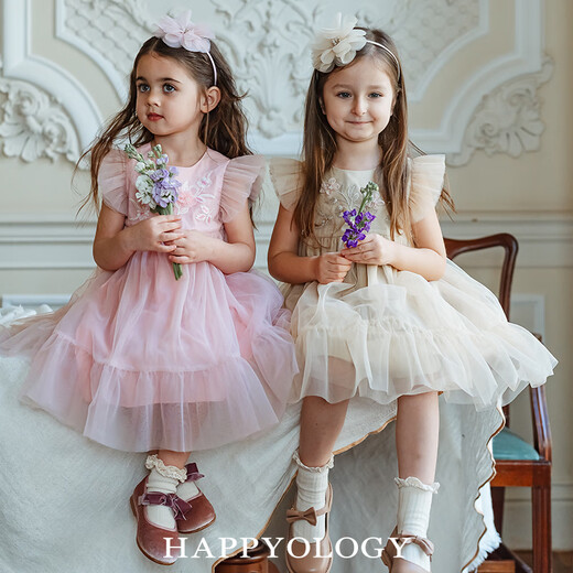 Happyology British children's embroidered mesh children's clothing small flying sleeve girls' dress spring and summer mesh skirt