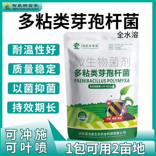 Dangxiu Paenibacillus polymyxa controls soil-borne diseases, universal plant seedlings and rooting improvement live bacteria, Paenibacillus polymyxa 500g*2