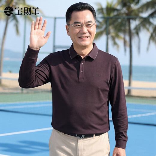 Baocaiyang long-sleeved T-shirt men's dad's clothing spring and autumn business casual lapel polo sweater middle-aged and elderly clothing