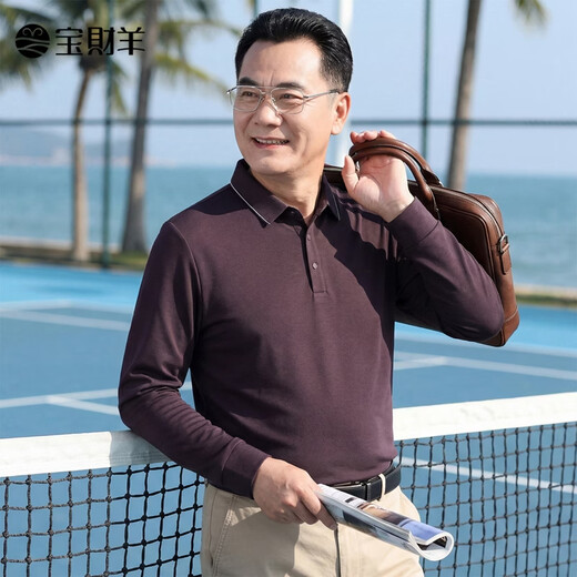 Baocaiyang long-sleeved T-shirt men's dad's clothing spring and autumn business casual lapel polo sweater middle-aged and elderly clothing