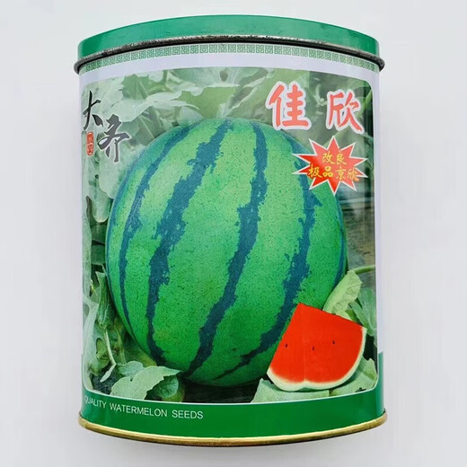 Linpan Rock Sugar Qilin King Watermelon Seed Shenhe Daqi 8424 Extremely Early Mature, High Sugar, Crack-resistant and Transportable, Field and Greenhouse Planting Daqi 101 Watermelon 50g