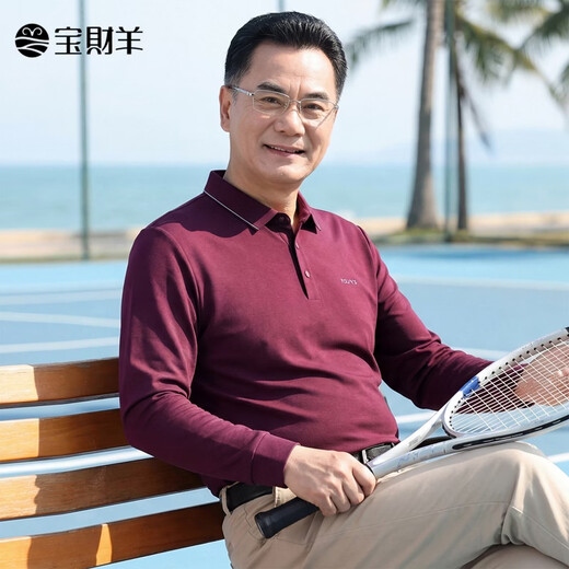 Baocaiyang long-sleeved T-shirt men's dad's clothing spring and autumn business casual lapel polo sweater middle-aged and elderly clothing