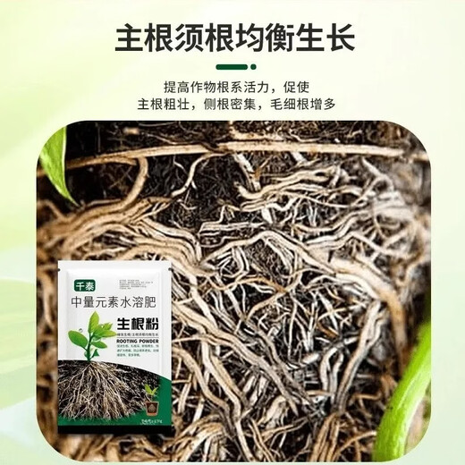Rapid rooting powder, universal plant transplanting and cuttings, powerful rooting agent for fruit trees, nutrient solution 809, 3 bags, green leaves + strong roots + flower promotion + top tips
