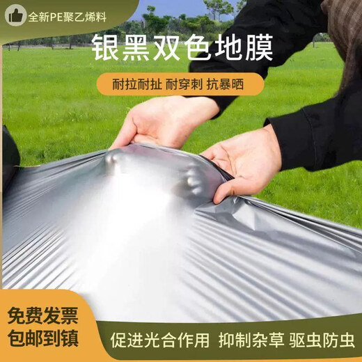 Gefuya Mulch Weeding Cloth Silver and Black Two-color Thickened Mulch Film for Agricultural Vegetable Planting Insect-proof Film Insulation and Moisturizing Plastic Film 20Jin Jin is equal to 0.5kg Silver Black 2s 06 meters wide 700 meters long for field use and can be stepped on