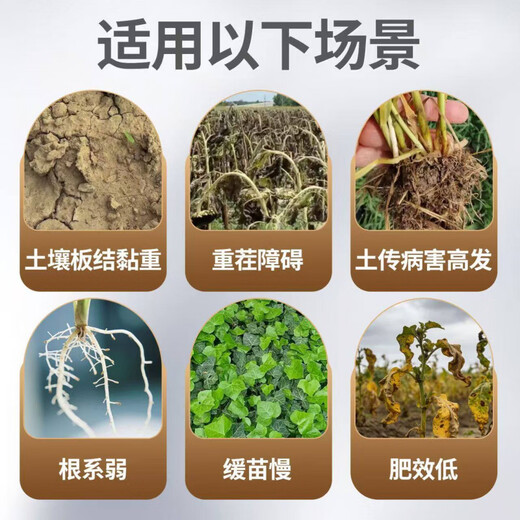 Pick-up cat heavy crop nemesis anti-virus Israeli imported varieties rooting loose soil conditioner to prevent dead trees microorganism 1kgX20 bags (full box) huge huge benefit