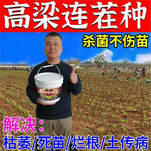 Cat sorghum field anti-heavy stubble soil-borne disease agent is directly spread to condition the soil to resist heavy stubble and solve root rot. Sorghum soil agent_sorghum field anti-heavy stubble 5 barrels