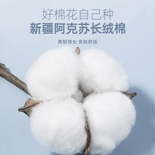 Youngor cotton elastic DP no ironing 26 summer new solid color short-sleeved shirt light blue plain 40