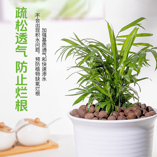 Aishangke ceramsite indoor potted flower cultivation ceramsite flower bottom indoor plant ceramsite particles flowers ceramsite flower cultivation special A ceramsite 5L*2 bag