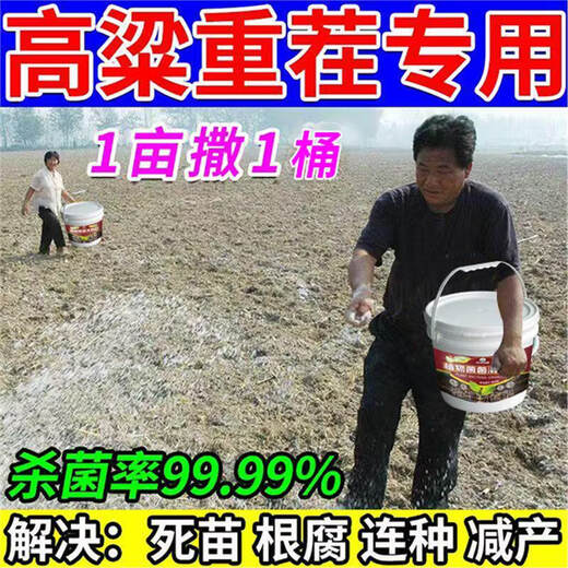 Cat sorghum field anti-heavy stubble soil-borne disease agent is directly spread to condition the soil to resist heavy stubble and solve root rot. Sorghum soil agent_sorghum field anti-heavy stubble 5 barrels