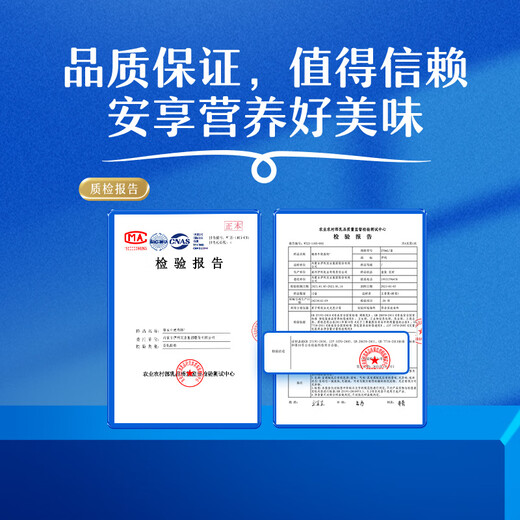 Yili Fresh Date Rich Milk High Calcium 250ml*16 +50% Calcium Coffee Partner Gift Box 2-3 Months