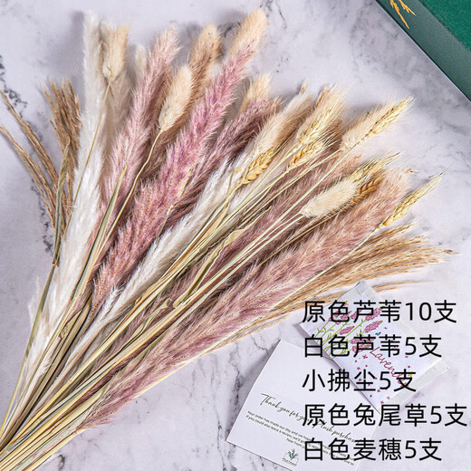 Original idea (CHUGOUXIANG) Yunnan real flower pampas grass whisk dust rabbit tail dried bouquet pampas grass HS10 with box