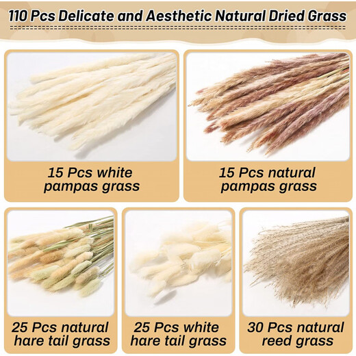 Original idea (CHUGOUXIANG) Yunnan real flower pampas grass whisk dust rabbit tail dried bouquet pampas grass HS10 with box