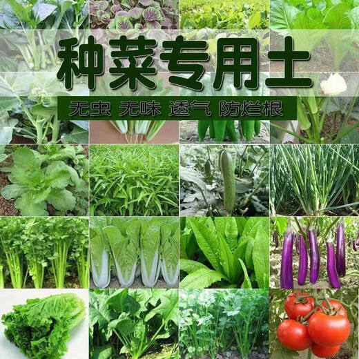 Jieyunmao universal succulent green radish vegetable planting nutritious organic soil 20Jin Jin is equal to 0.5kg balcony vegetable soil store manager
