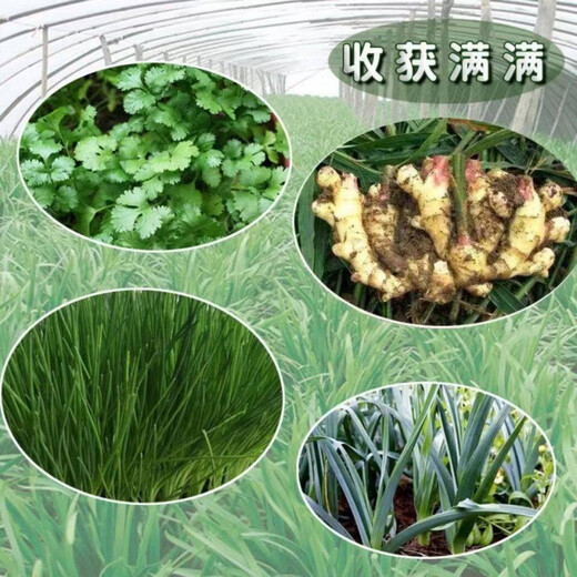 Jieyunmao universal succulent green radish vegetable planting nutritious organic soil 20Jin Jin is equal to 0.5kg balcony vegetable soil store manager