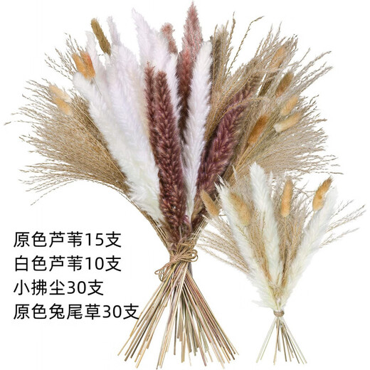 Original idea (CHUGOUXIANG) Yunnan real flower pampas grass whisk dust rabbit tail dried bouquet pampas grass HS57 with box