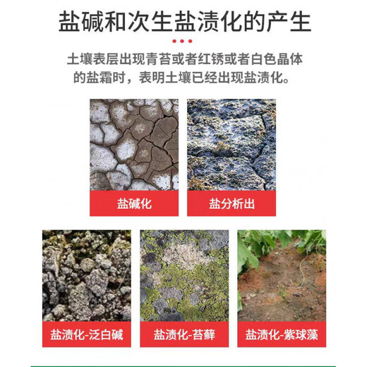 South Africa's Kepp giant algae rooting saline-alkali soil conditioner eliminates salt, removes alkali and breaks hardened soil agent without deep plowing, reduces salt and promotes growth 10 kg * 10 barrels