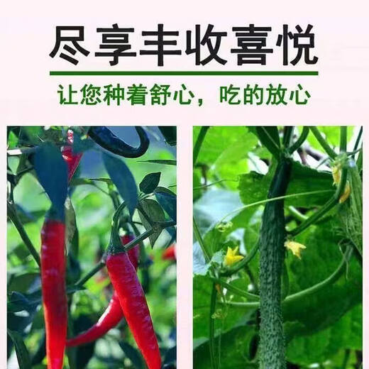 Jieyunmao universal succulent green radish vegetable planting nutritious organic soil 20Jin Jin is equal to 0.5kg balcony vegetable soil store manager