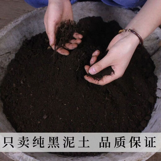 Huai Changshan black soil, northeastern black soil, original ecological cultivation of vegetable seedlings, pure soil fertilizer, no need to fertilize for a long time, original ecological pure soil 100Jin Jin is equal to 0.5kg, cost-effective package