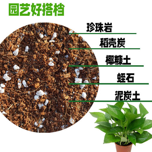 Horticulture export-grade perlite vermiculite flower cultivation rose orchid plant material potted succulent planting nutrient soil powder less two bags of 3-6mm total 140 liters Jiangsu, Zhejiang, Shanghai and Anhui