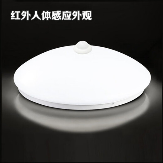 雷雷智光 声控灯LED雷达人体感应灯声光控吸顶灯楼道楼梯走廊工程车库灯 21CM LED6W声光控