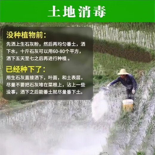 Jingxi Special quicklime powder for vegetables. Soil pest control in vegetable fields. Improve soil height. Quicklime. After spreading quicklime powder without insects, 5 Jin Jin is equal to 0.5 kilograms.