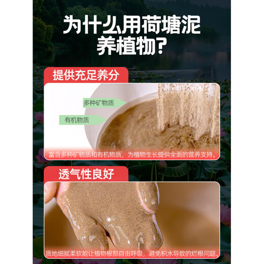 Lotus pond mud, special lotus soil for water lilies, copper money grass, water lily, aquatic plant nutrient soil, general vegetable planting fine sieving/sterile, high-quality lotus pond mud 40Jin Jin is equal to 0.5kg