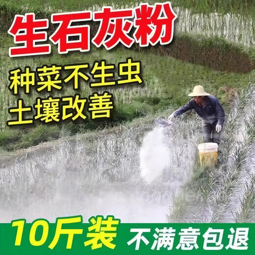 Jingxi Special quicklime powder for vegetables. Soil pest control in vegetable fields. Improve soil height. Quicklime. After spreading quicklime powder without insects, 5 Jin Jin is equal to 0.5 kilograms.