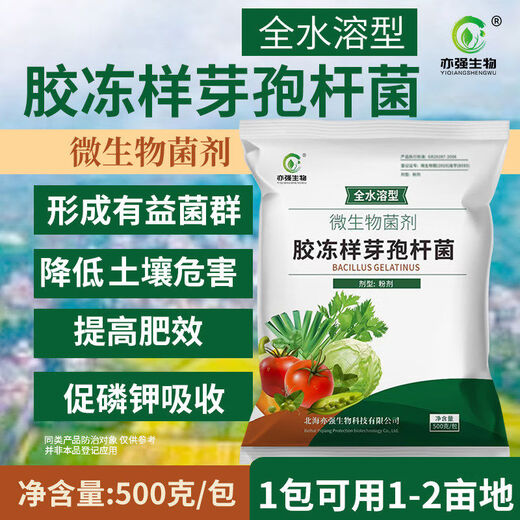 Yiqiang Biological fully water-soluble jelly-like Bacillus 10 billion improved soil potassium-solubilizing planting fertilizer plant growth inhibition fully water-soluble 500*10
