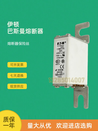 Basman fast fuse 170m1316 1317 1318 1319 1320 1321 1322 now 170M1318