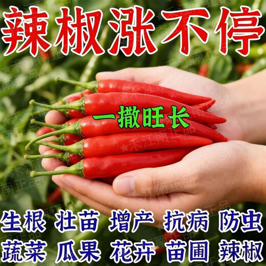 Hejiangnan Pepper Planting Specially Improved Soil Fertile Soil Fast Absorption Insect Control Pepper Base Fertilizer 2 Big Bags Continuous Disease Clearance