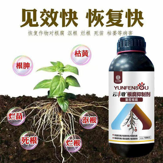 Yunfeng harvest root rot agent, root rot damping off, leaf rot, dead trees, root activation, soil disease prevention, 1000 bottles of test fruit