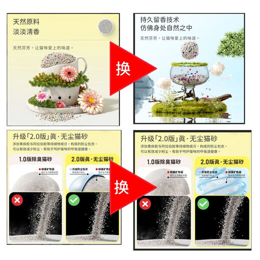 Biyiqi Cat Litter Mixed Bentonite Large Particles Deodorizing Lemon Smell 10 Jin Jin equals 0.5 kg Deodorizing Clumping Large Bag Cat Litter 2.0 Ordinary Version 2.0 Version Original Flavor 20 Jin Jin equals 0.5 kg Pack