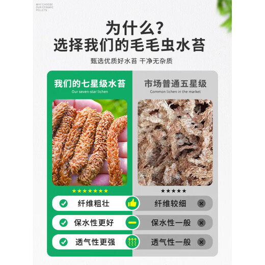 Chilean imported sphagnum moss, red grass caterpillar, sphagnum moss, phalaenopsis orchid, special soil plant, turtle hibernation and moisturizing, limited to one purchase, 1 pack of Chilean sphagnum moss, about 200g (free 1 bottle of Lanling King worth 9.9)