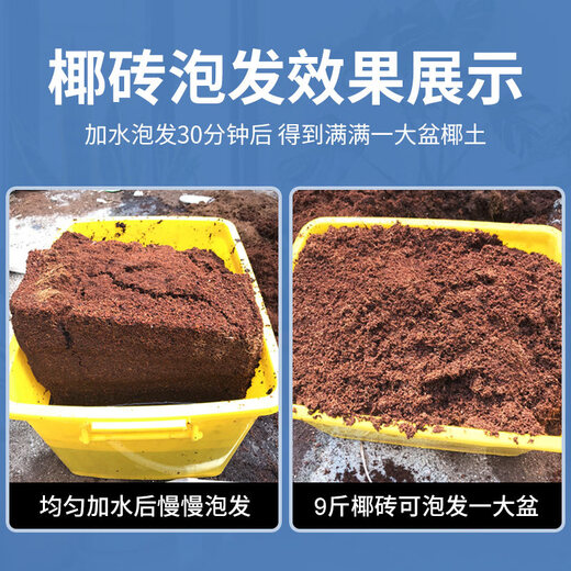 Coconut brick nutritious soil for growing vegetables, universal desalted coconut bran chunks, brick soil, turtle hibernation flower cultivation soil, planting soil, 650g coconut bricks, 2 pieces, each piece is soaked for about 7-9 liters (good selection)