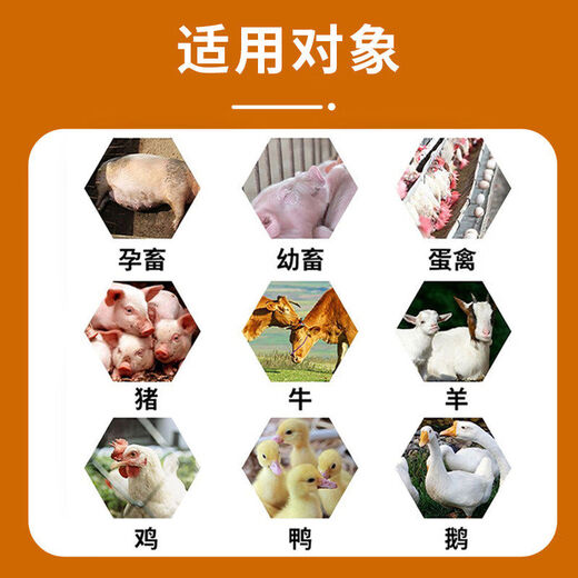 Golden Phoenix veterinary vitamin ADE electrolytic multi-dimensional mineral-filled feed additive for laying hens, ducks, geese and pigs 1 bag can only be mixed with ingredients